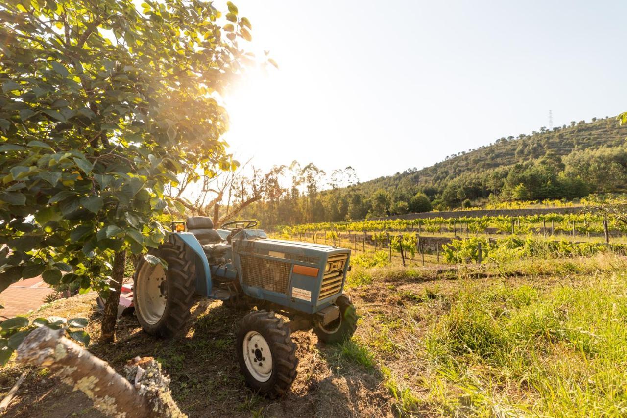 Quinta Da Fonte - Agroturismo Barroselas Zewnętrze zdjęcie