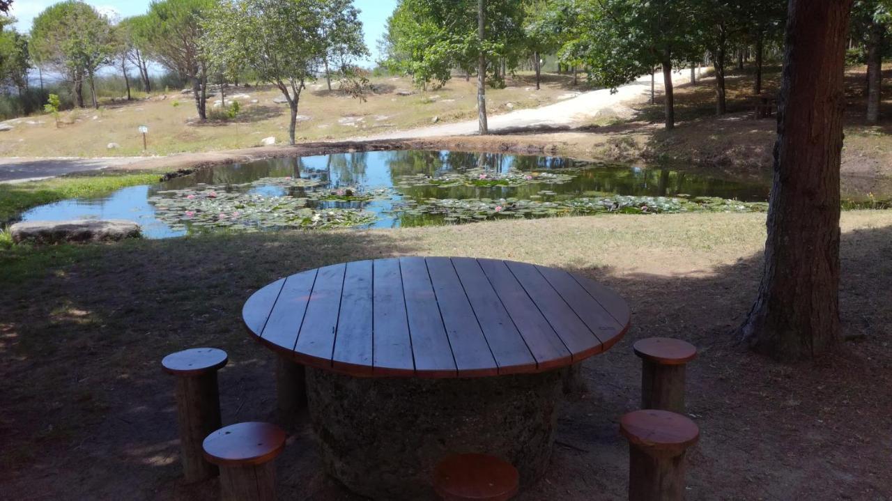 Quinta Da Fonte - Agroturismo Barroselas Zewnętrze zdjęcie