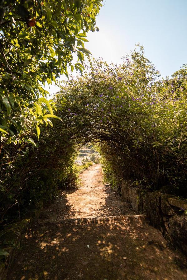 Quinta Da Fonte - Agroturismo Barroselas Zewnętrze zdjęcie